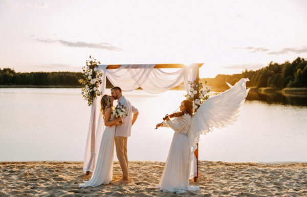 Шоу-программа Категория специалиста Скрипачка шоу на скрипке